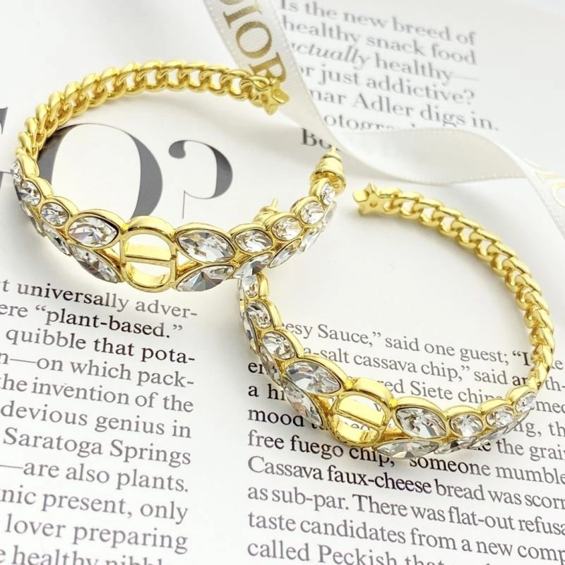 Colorful Christian Dior Earrings 233242