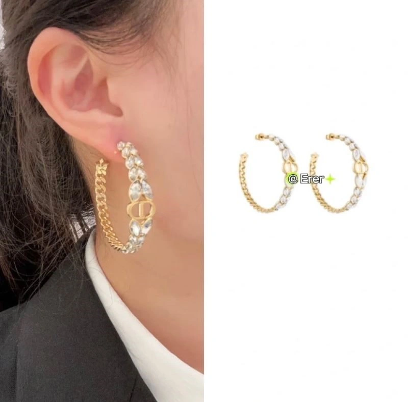 Colorful Christian Dior Earrings 233242