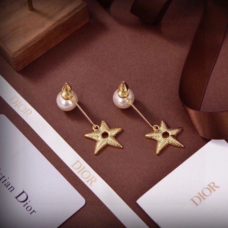 Christian Dior Earrings Affordable 233218