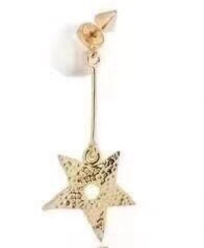 Christian Dior Earrings Affordable 233218
