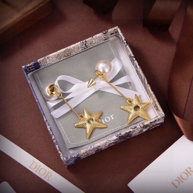 Christian Dior Earrings Affordable 233218