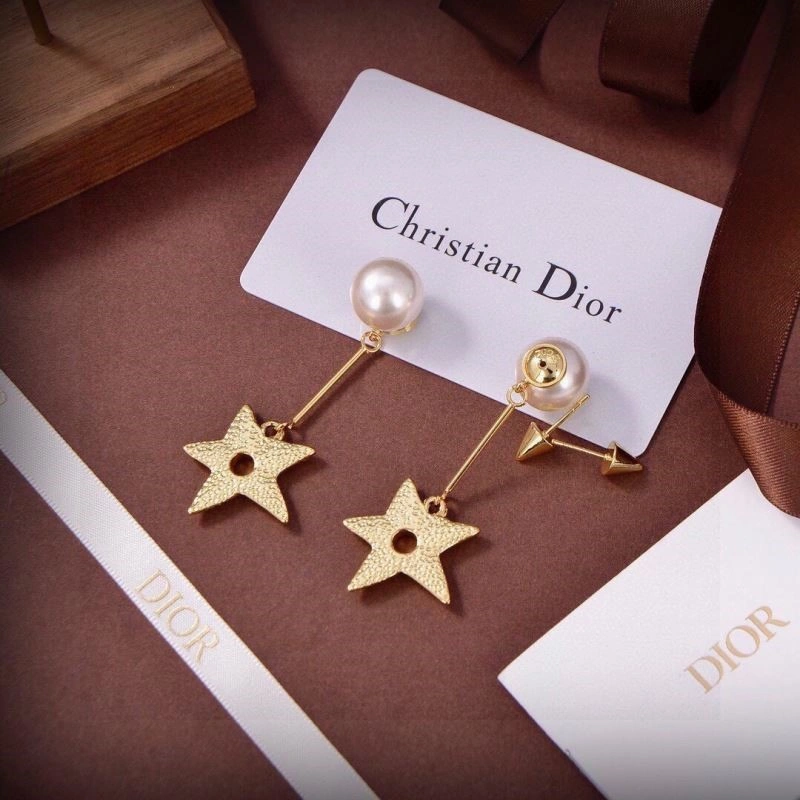 Christian Dior Earrings Affordable 233218