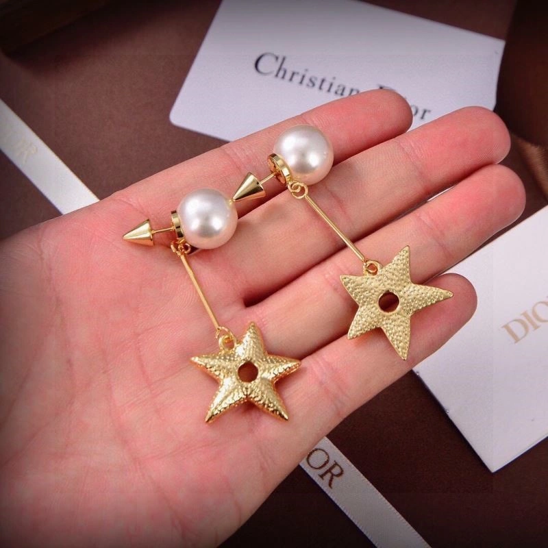 Christian Dior Earrings Affordable 233218