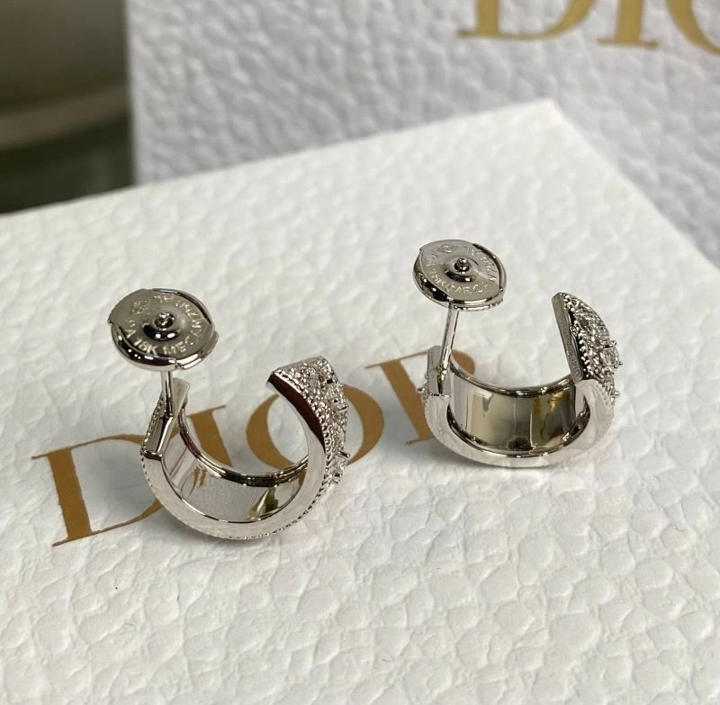 WrinkleFree Christian Dior Earrings 233214