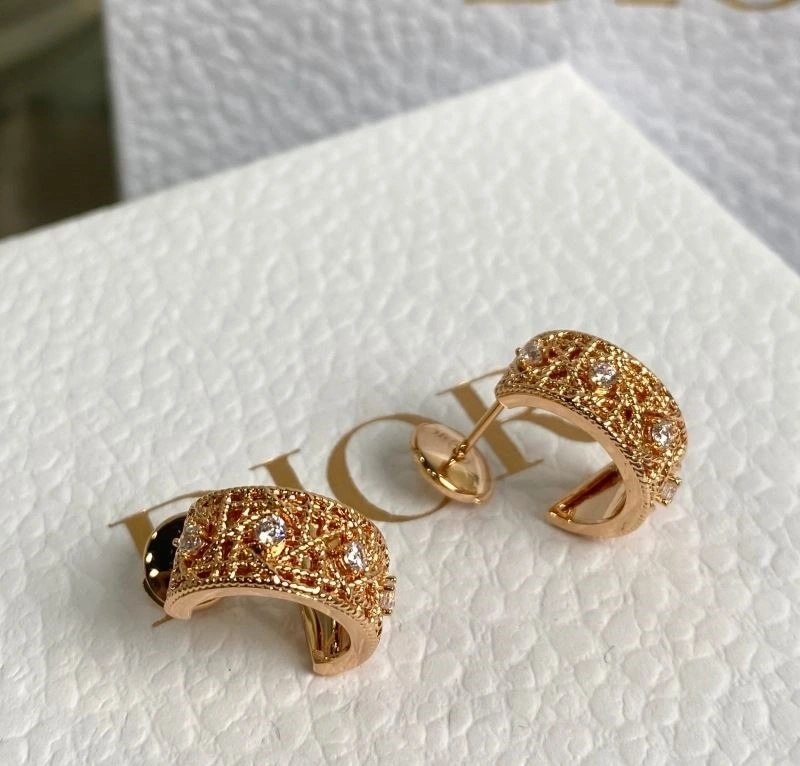 Christian Dior Earrings Efficient 233175