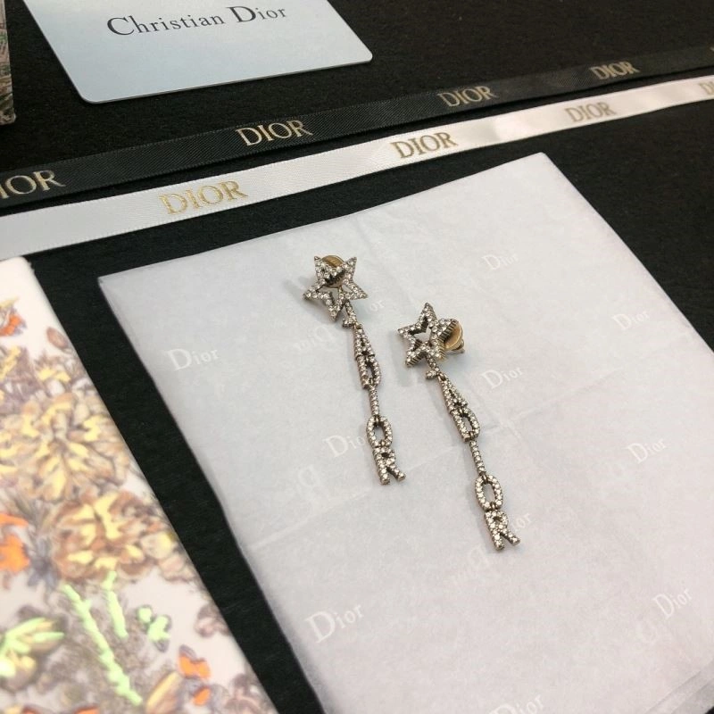 WaterResistant Christian Dior Earrings 233191