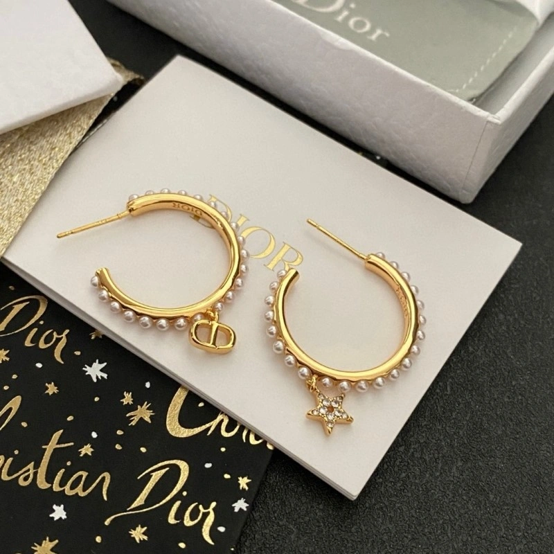Neat Christian Dior Earrings 233138