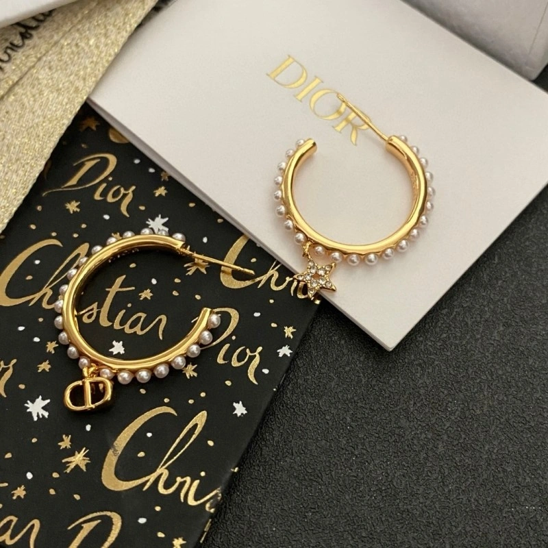 Neat Christian Dior Earrings 233138