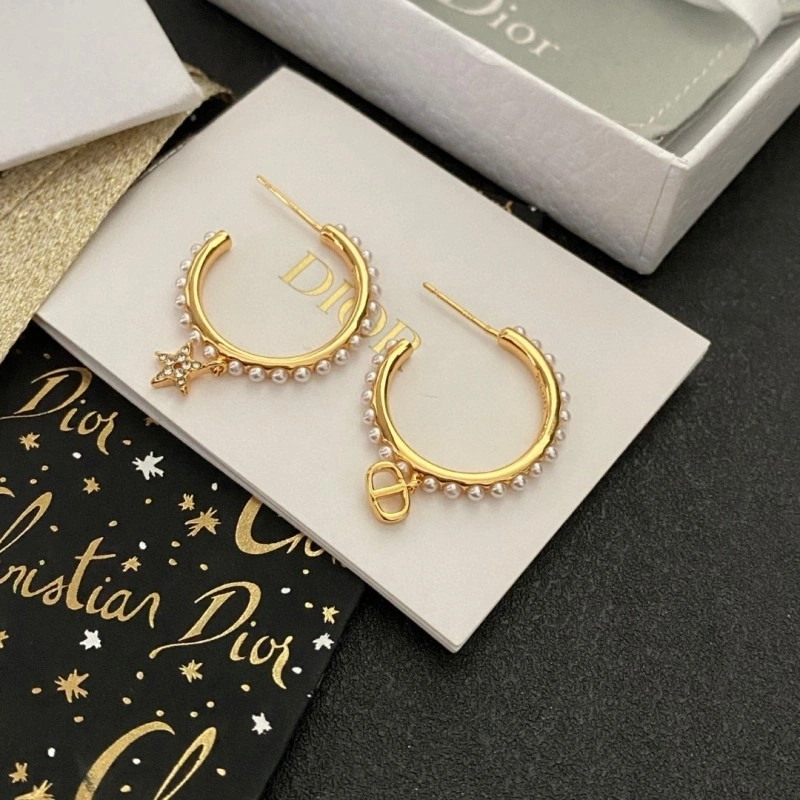 Neat Christian Dior Earrings 233138