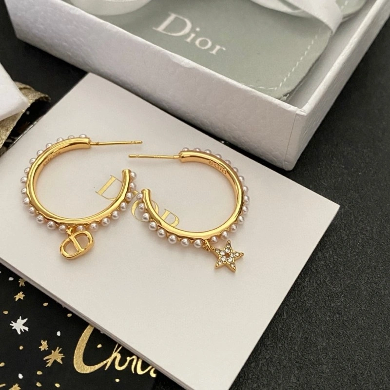 Neat Christian Dior Earrings 233138