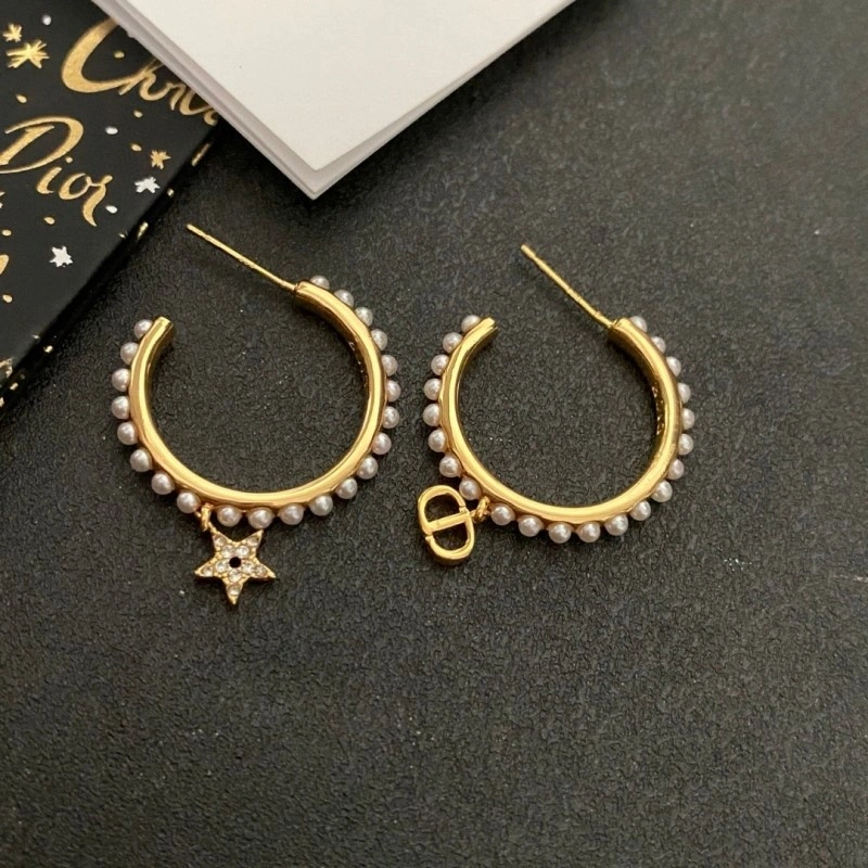Neat Christian Dior Earrings 233138