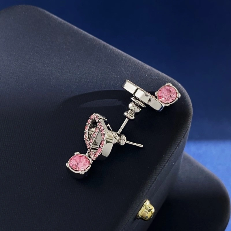 Comfortable Christian Dior Earrings 233136