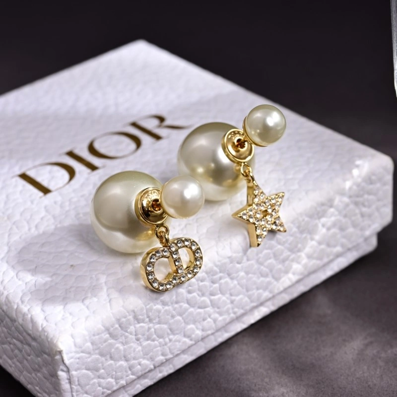Christian Dior Earrings NewStyle 233177