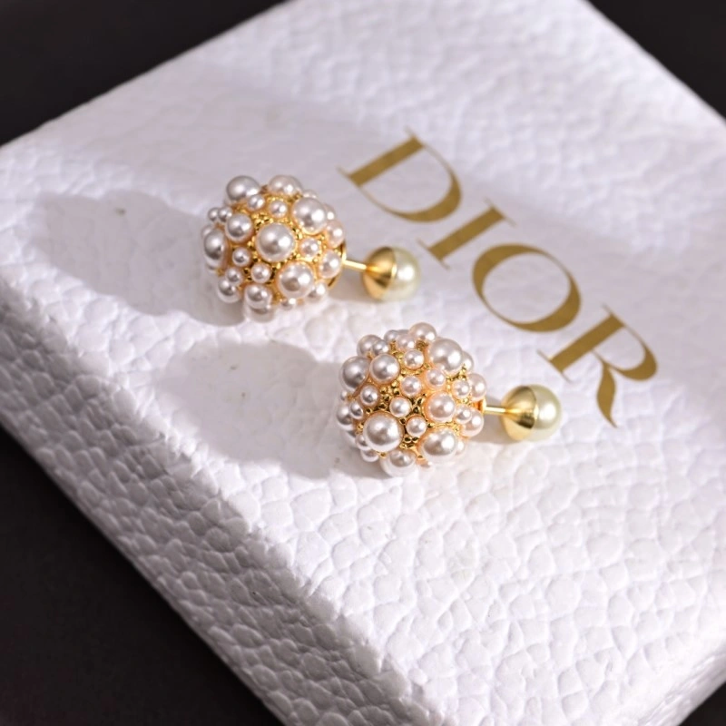 Lightweight Christian Dior Earrings 233132