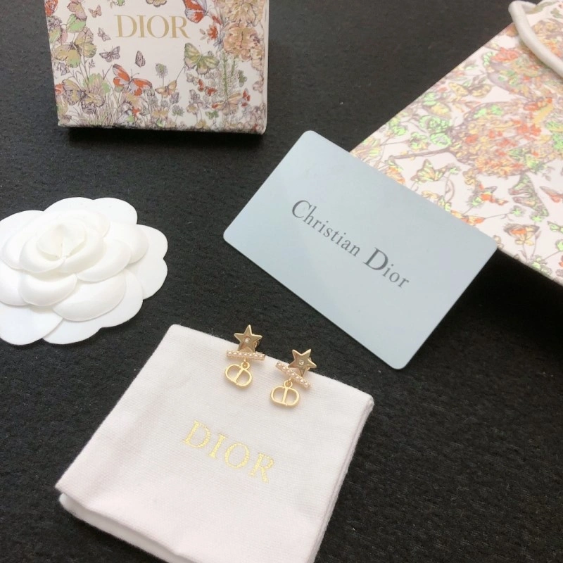 ZipUp Christian Dior Earrings 233146