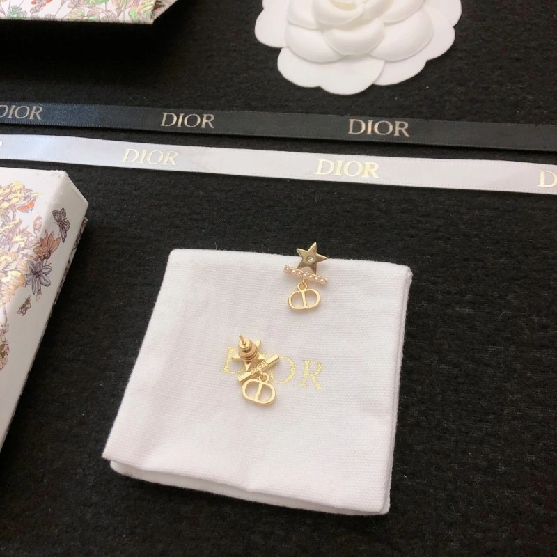 ZipUp Christian Dior Earrings 233146