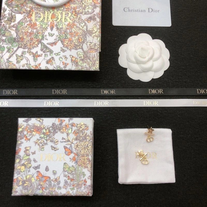 ZipUp Christian Dior Earrings 233146