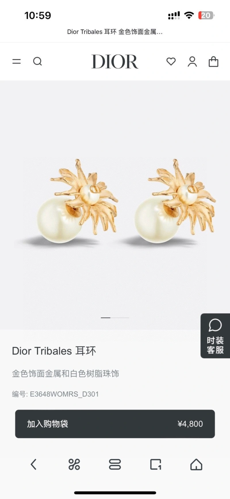 Trendsetting Christian Dior Earrings 233115