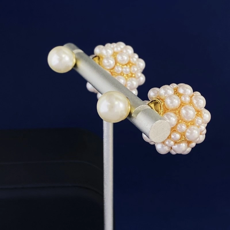 ModernLook Christian Dior Earrings 233130