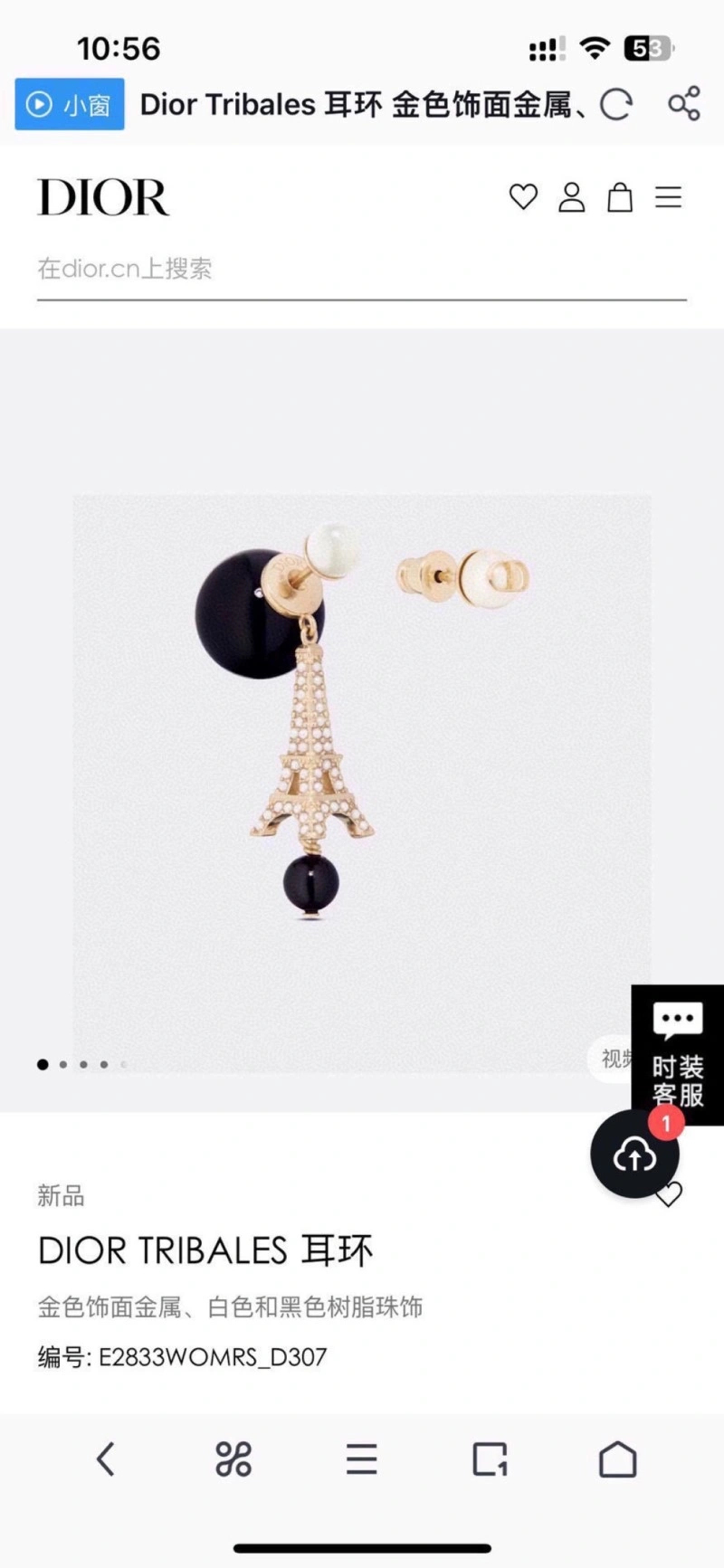 Popular Christian Dior Earrings 233103