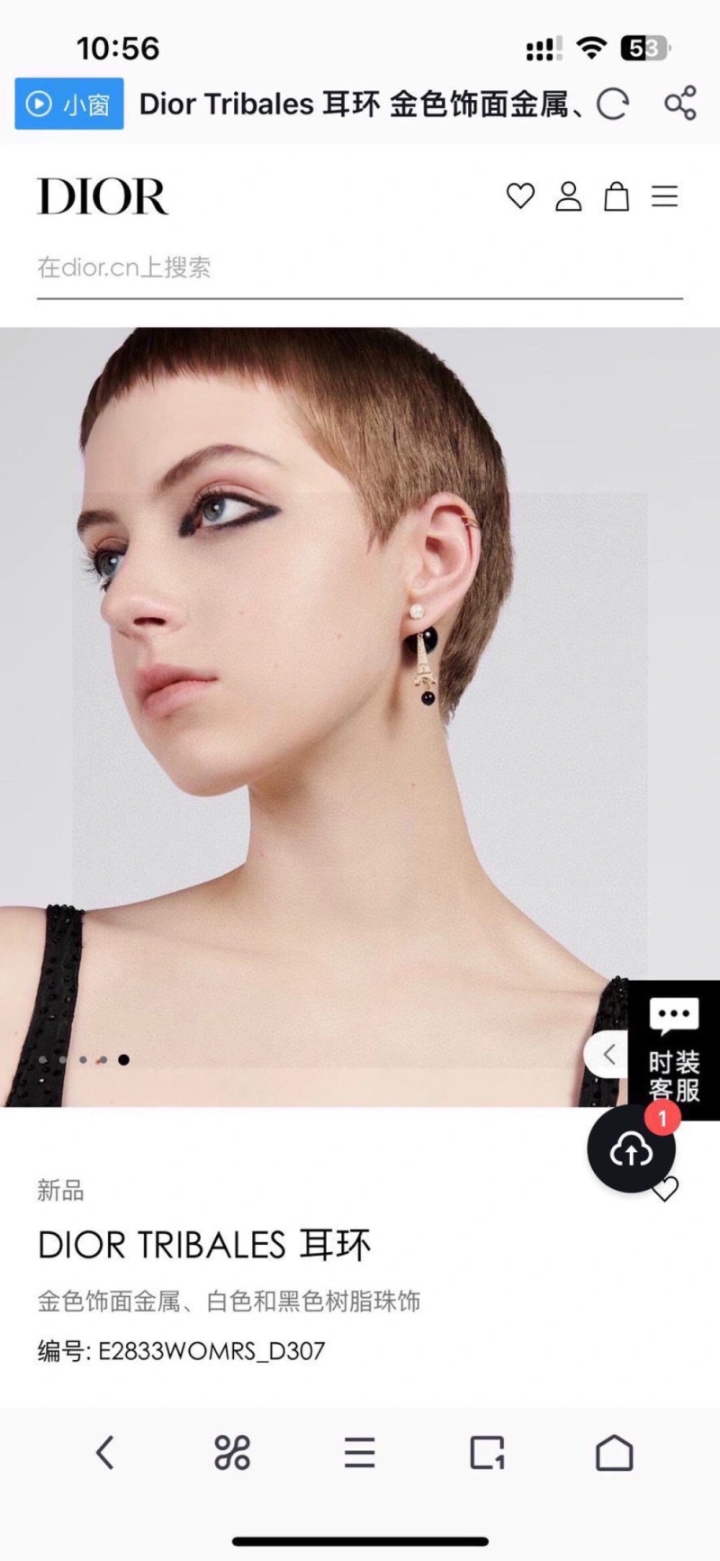 Popular Christian Dior Earrings 233103