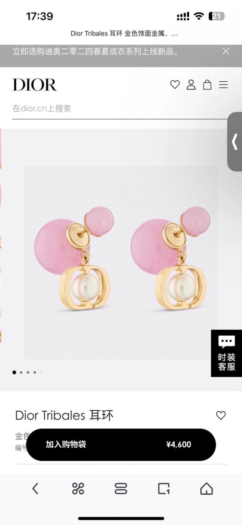 Casual Christian Dior Earrings 233104