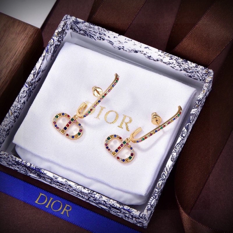 Lightweight Christian Dior Earrings 233169
