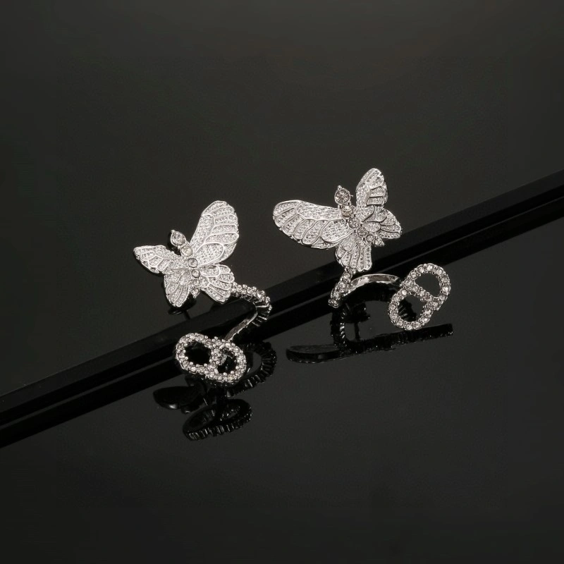 Contemporary Christian Dior Earrings 233166