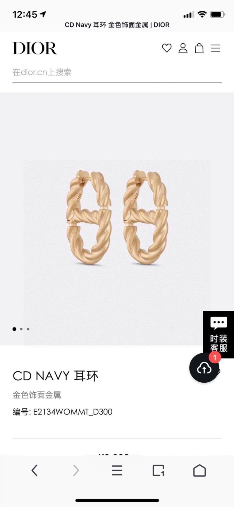Christian Dior Earrings Trendsetting 233121