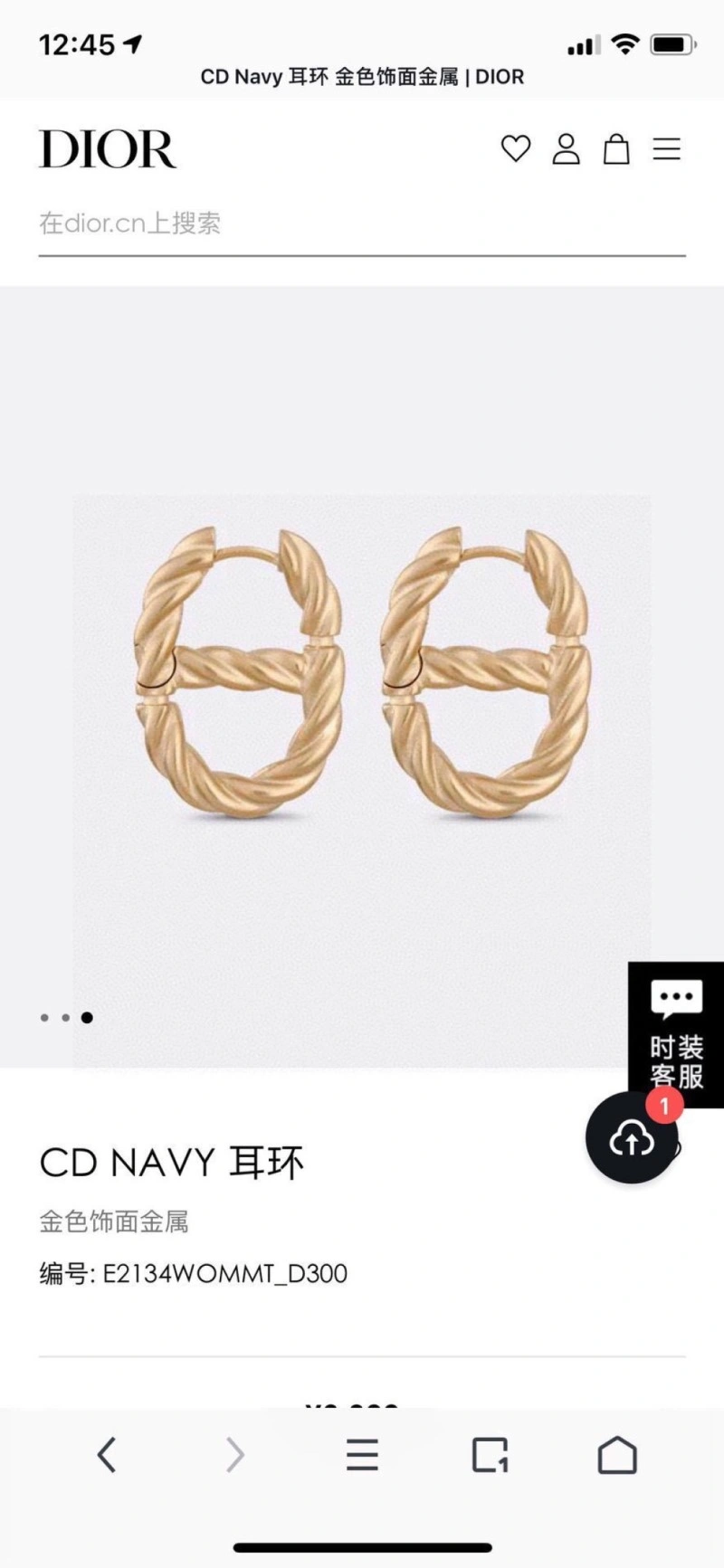 Christian Dior Earrings Trendsetting 233121
