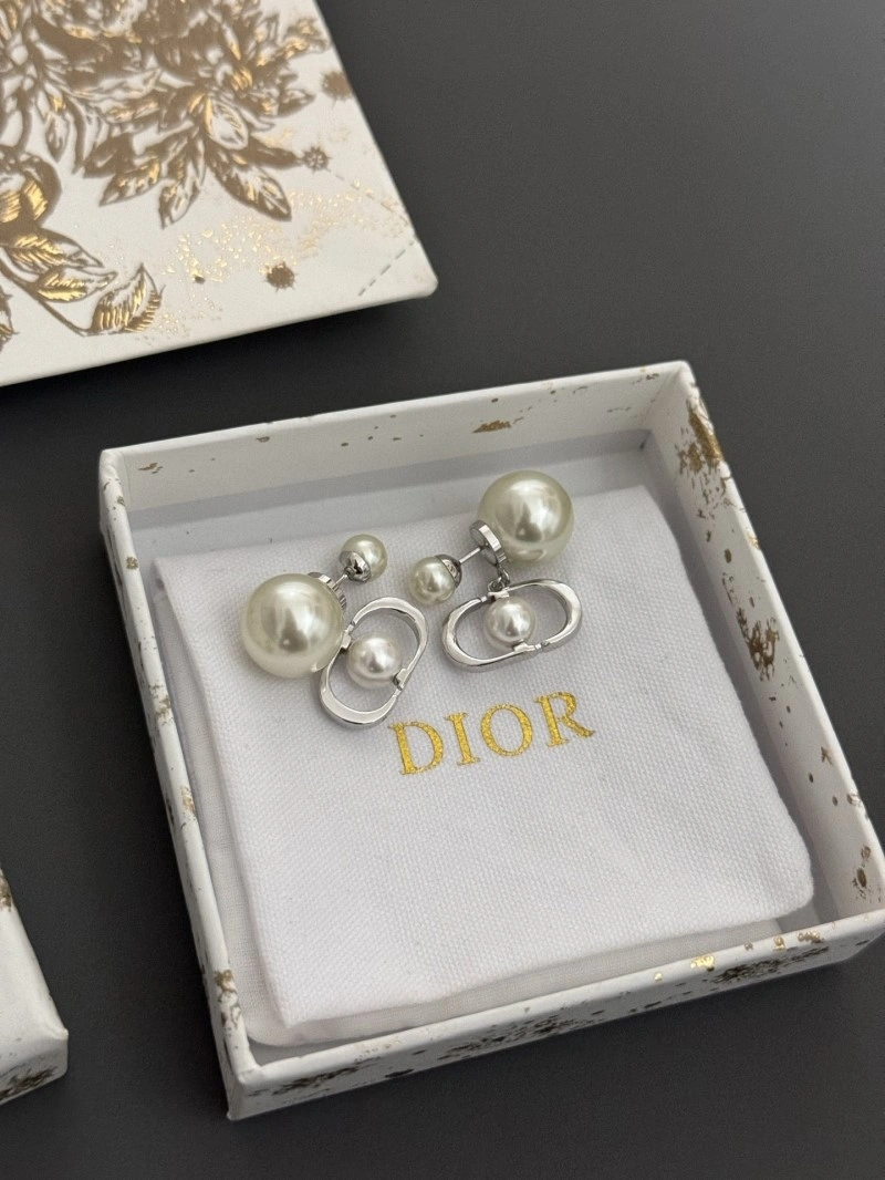 Colorful Christian Dior Earrings 233087