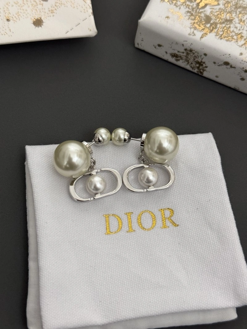 Colorful Christian Dior Earrings 233087