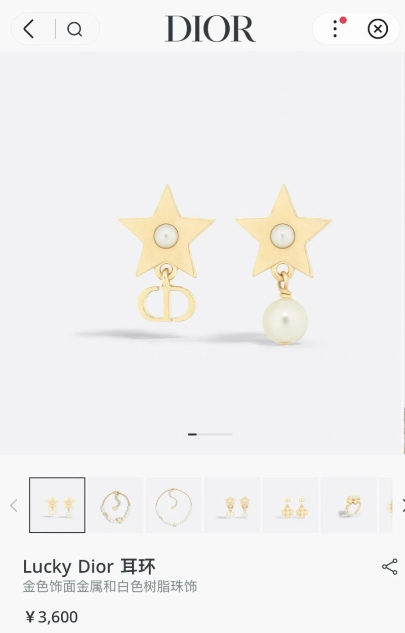 Christian Dior Earrings Comfortable 233084