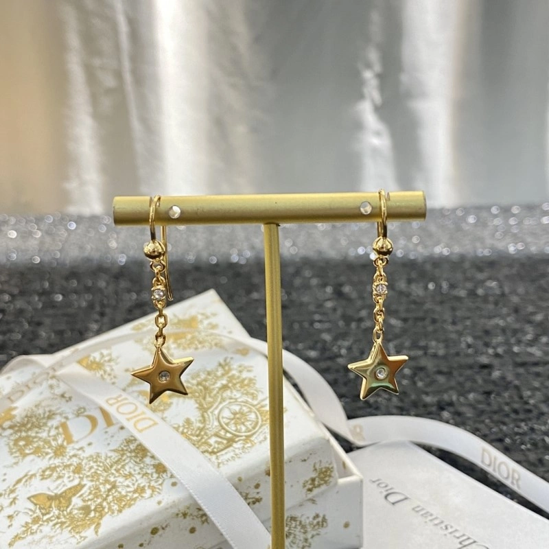 Durable Christian Dior Earrings 232855