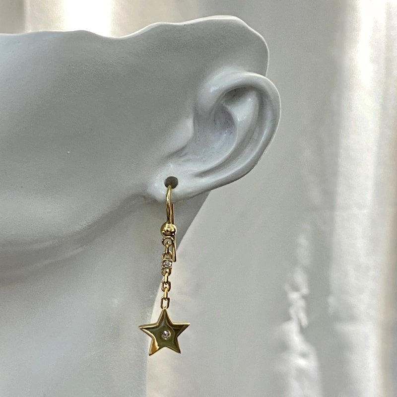 Durable Christian Dior Earrings 232855