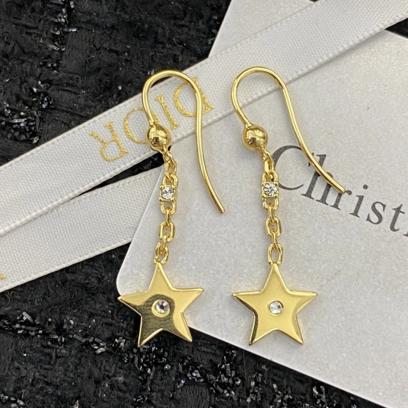 Durable Christian Dior Earrings 232855