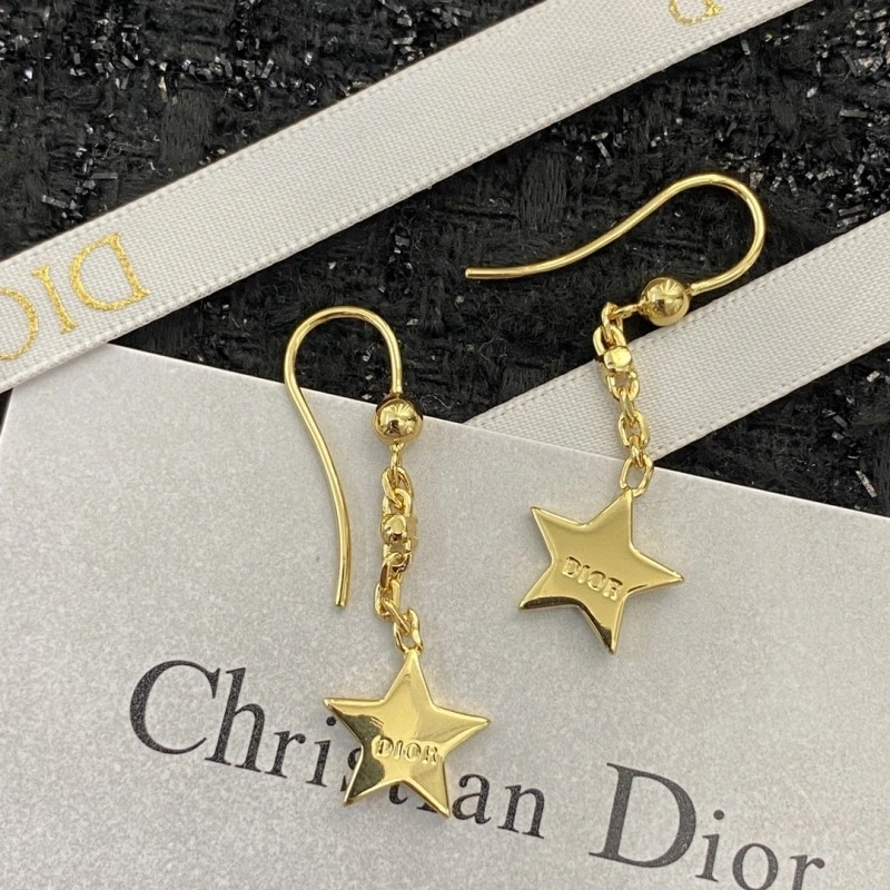 Durable Christian Dior Earrings 232855