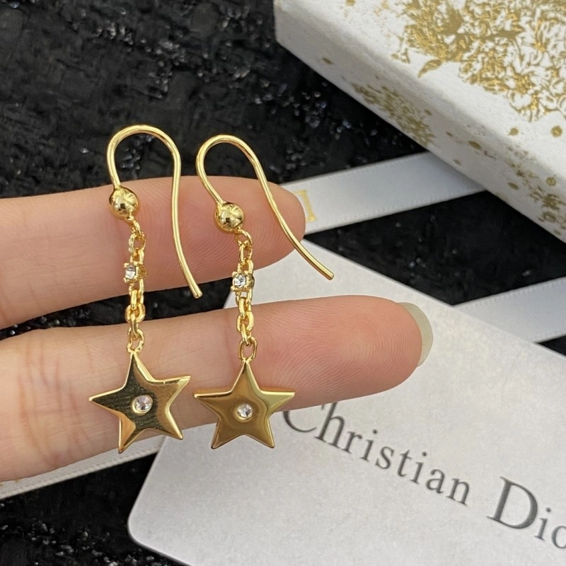 Durable Christian Dior Earrings 232855