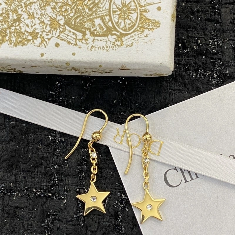 Durable Christian Dior Earrings 232855