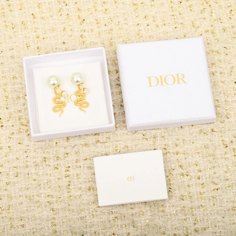 Durable Christian Dior Earrings 232862