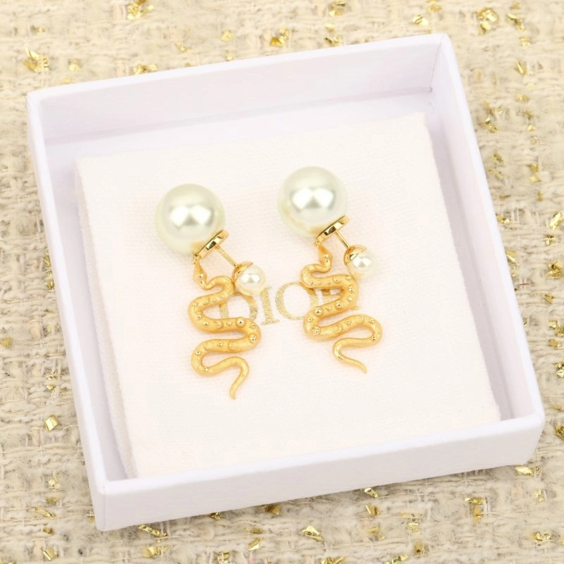Durable Christian Dior Earrings 232862