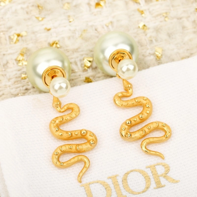Durable Christian Dior Earrings 232862