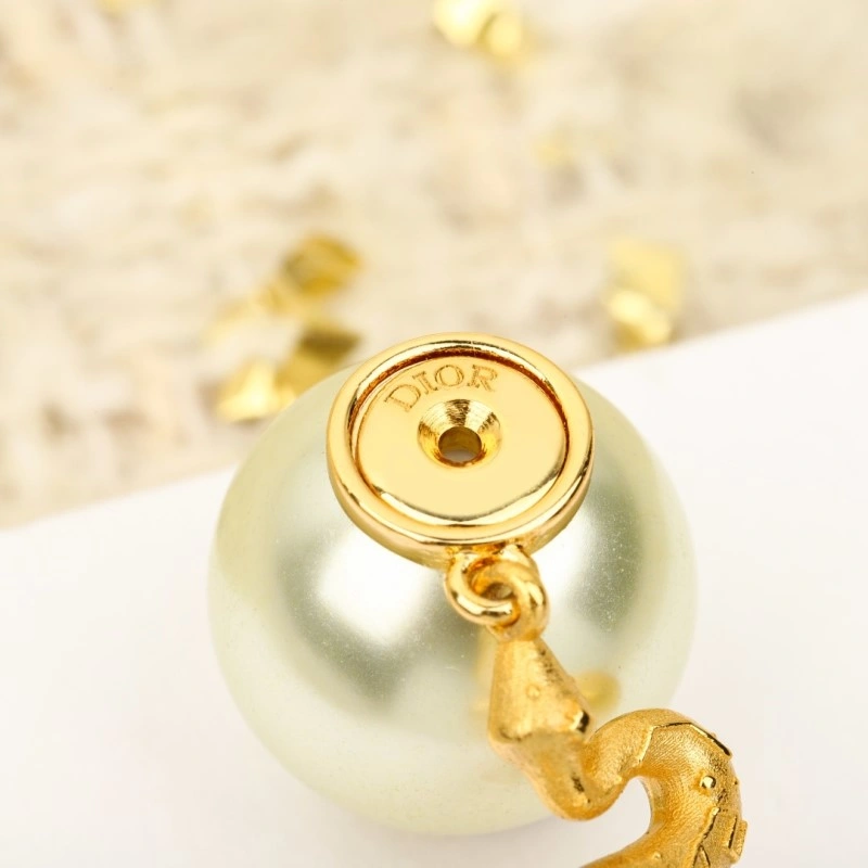 Durable Christian Dior Earrings 232862