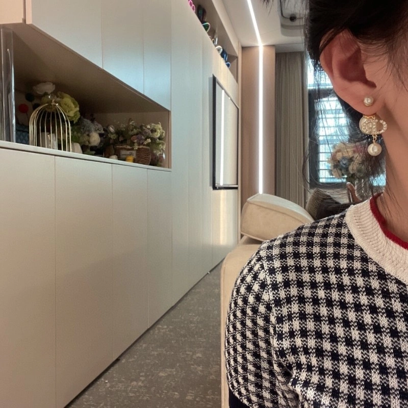 Christian Dior Earrings Supportive 232815