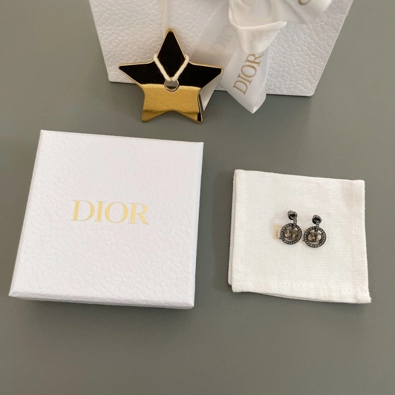 Snug Christian Dior Earrings 232795