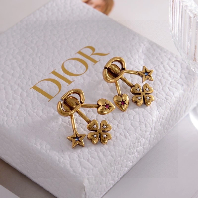 Reliable Christian Dior Earrings 232844