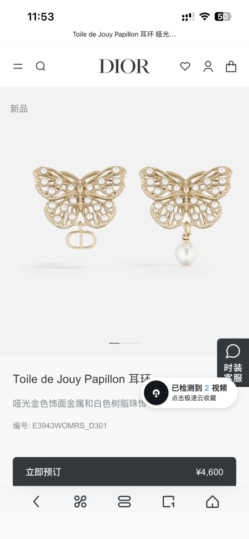Durable Christian Dior Earrings 232785
