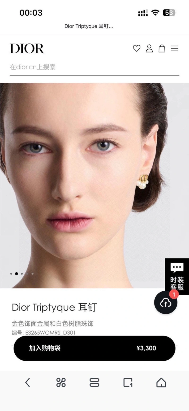 Christian Dior Earrings Practical 232760