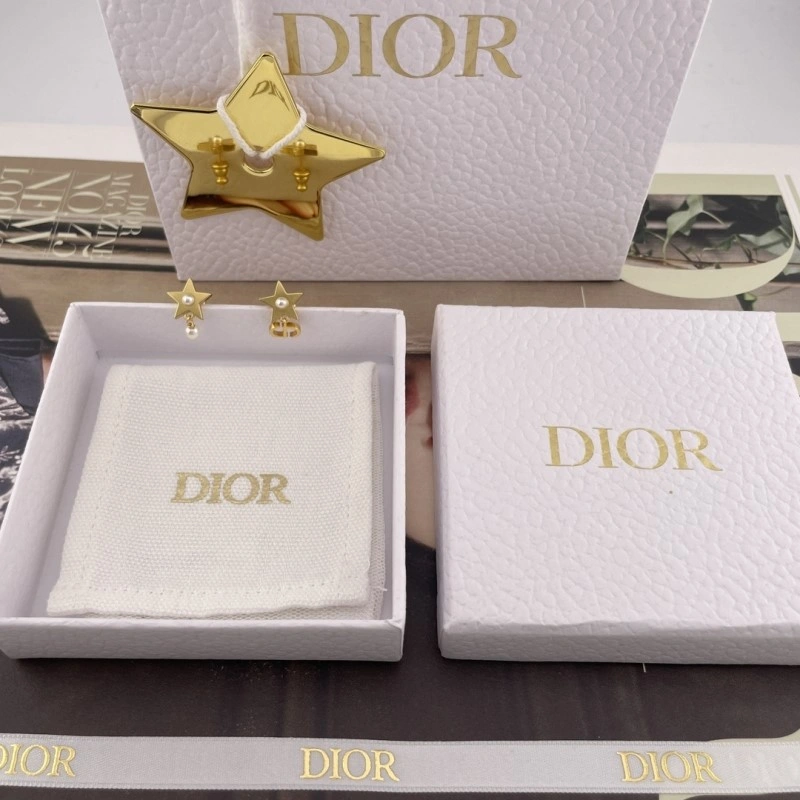 Compact Christian Dior Earrings 232800