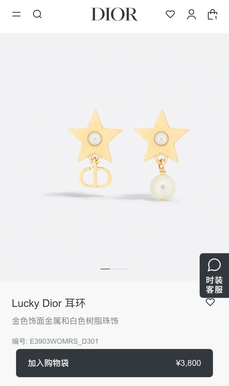 Compact Christian Dior Earrings 232800